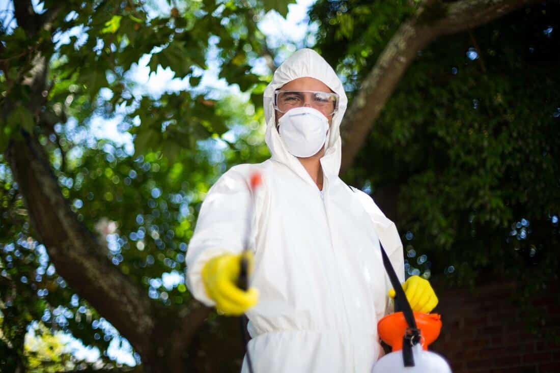 comprehensive pest removal and prevention services